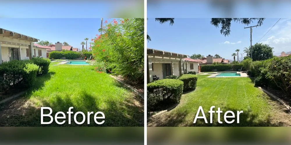 Affordable garden landscaping in Palm Desert, CA by Sevilla Brothers Gardening and Landscaping