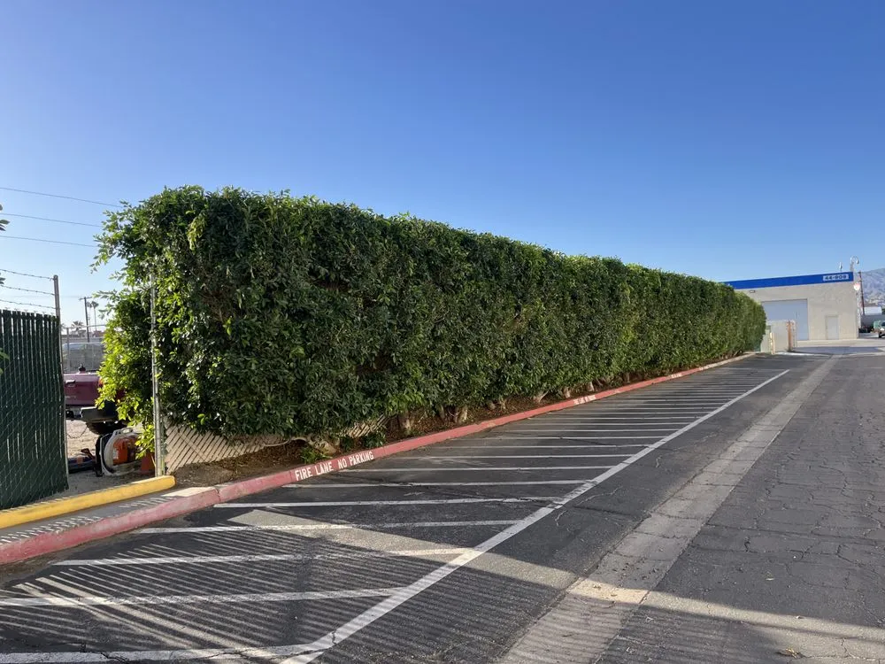 Trusted yard maintenance for outdoor upgrades in Palm Desert, CA by Sevilla Brothers Gardening and Landscaping