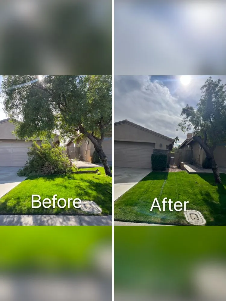 Trusted landscape installation experts serving Palm Desert, CA - Sevilla Brothers Gardening and Landscaping