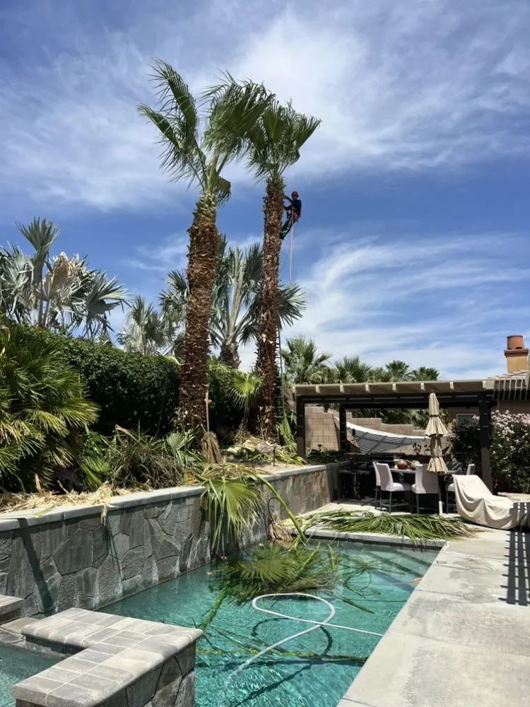 Professional garden landscaping for outdoor upgrades across Palm Desert, CA - Sevilla Brothers Gardening and Landscaping