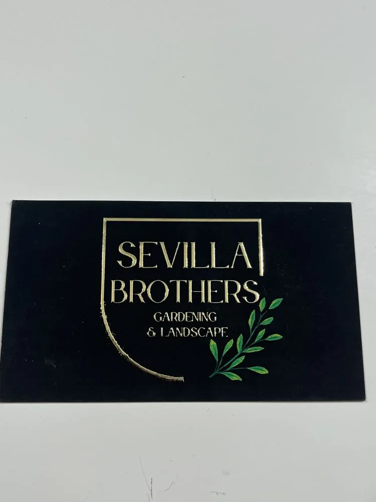 Affordable landscaping services in Palm Desert, CA by Sevilla Brothers Gardening and Landscaping