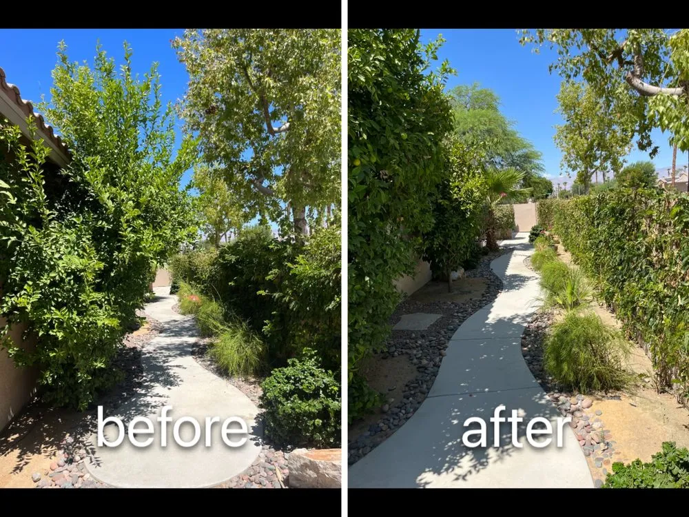 Top-rated lawn mowing service experts serving Palm Desert, CA - Sevilla Brothers Gardening and Landscaping