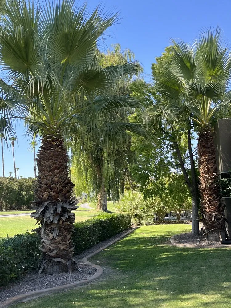 Affordable landscape installation experts serving Palm Desert, CA - Sevilla Brothers Gardening and Landscaping