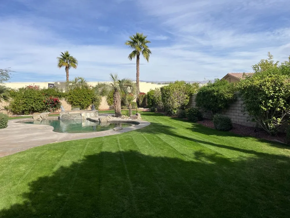 Reliable yard cleanup service in Palm Desert, CA by Sevilla Brothers Gardening and Landscaping