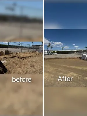 Sevilla Brothers Gardening and Landscaping Logo