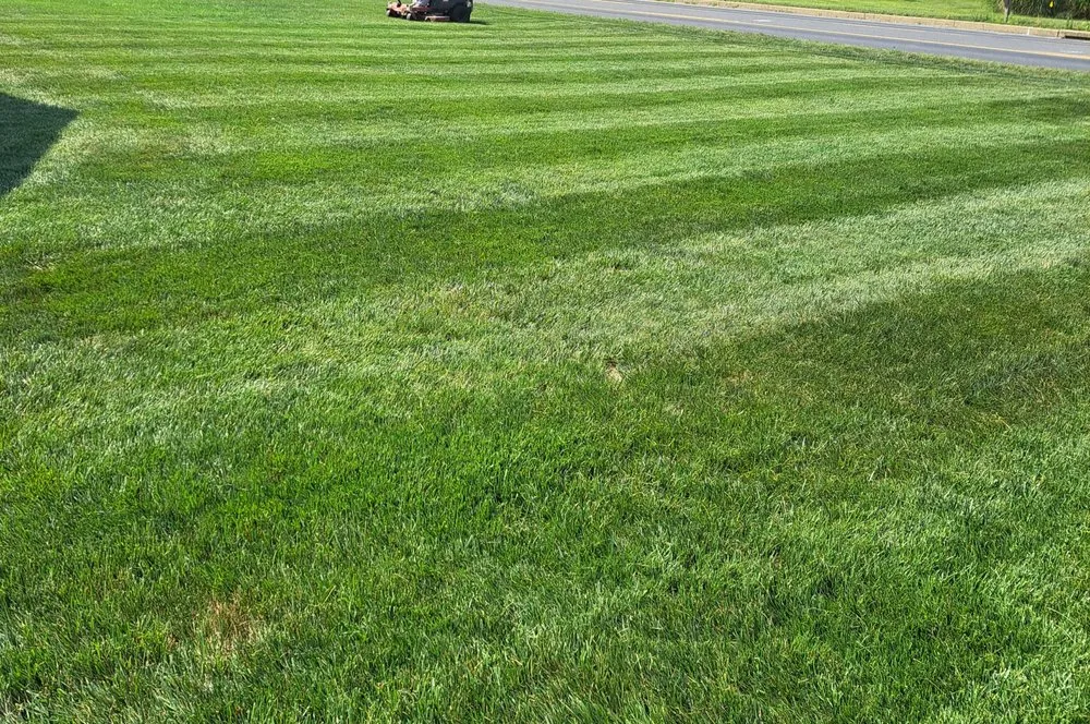 Reliable yard maintenance experts serving Chambersburg, PA - Seville's Lawncare