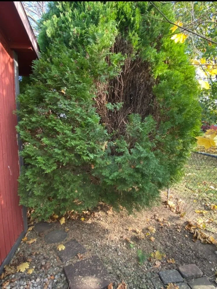 Reliable outdoor landscaping in Chambersburg, PA by Seville's Lawncare