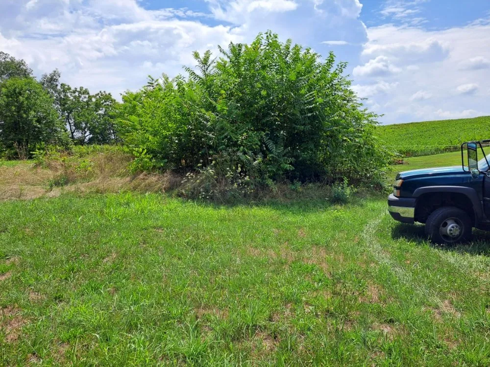 Professional landscape design in Chambersburg, PA by Seville's Lawncare