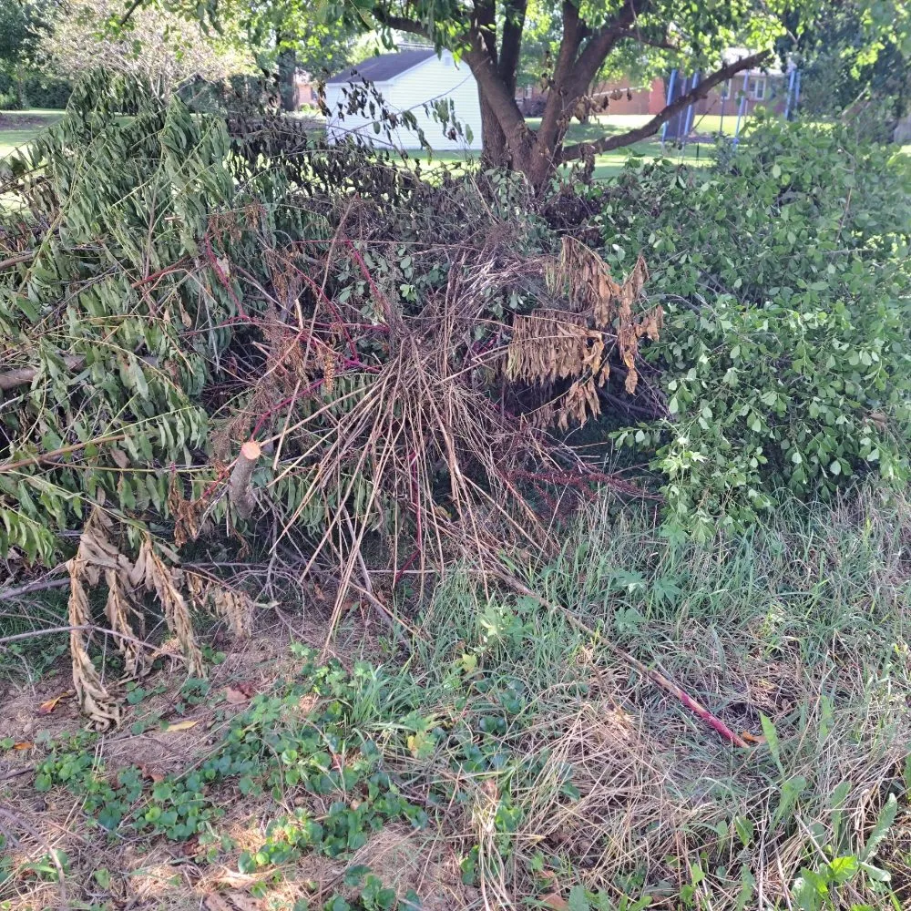 Professional yard maintenance in Chambersburg, PA by Seville's Lawncare