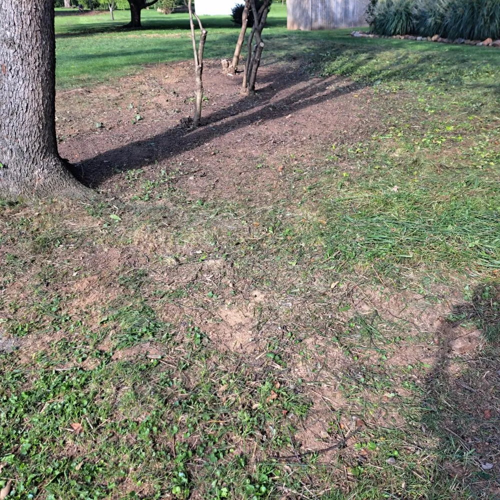 Trusted lawn mowing service near you in Chambersburg, PA by Seville's Lawncare