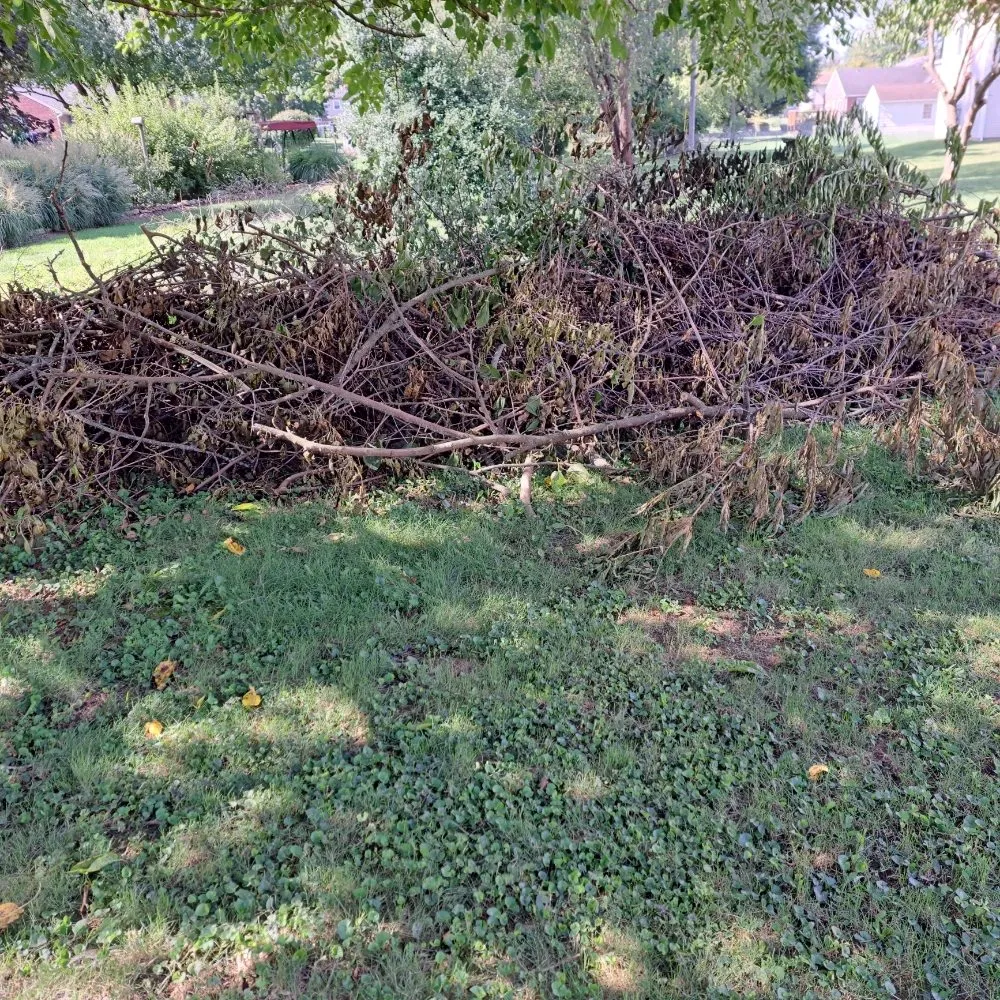 Trusted yard maintenance for beautiful yards in Chambersburg, PA by Seville's Lawncare