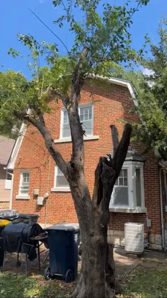 Affordable residential landscaping experts serving Kansas City, MO - Sevyn O’s Services