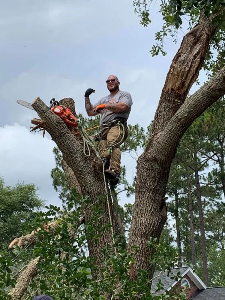 Professional yard cleanup service experts serving Midland, NC - Seward and Sons Lawn Sheriff