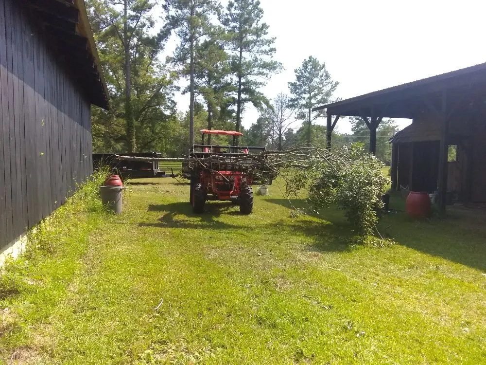 Top-rated landscaping services in Midland, NC - Seward and Sons Lawn Sheriff