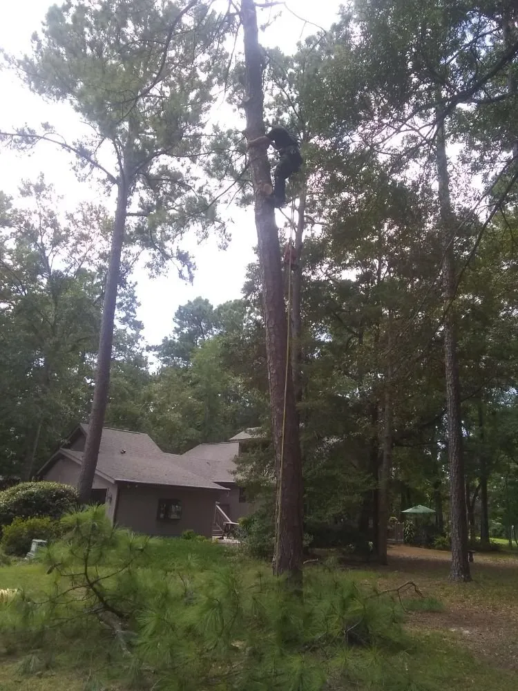 Professional residential landscaping with custom design in Midland, NC by Seward and Sons Lawn Sheriff