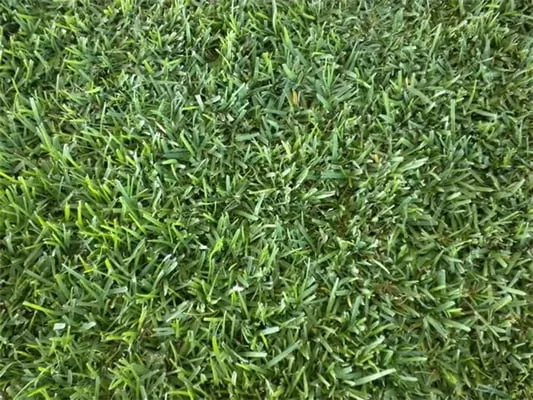 Seward Lawn Service Logo