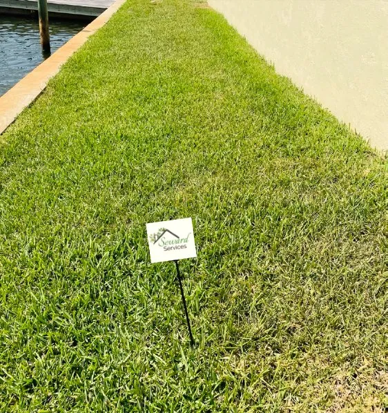 Professional outdoor landscaping in New Smyrna Beach, FL by Seward Services