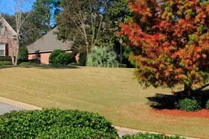 Custom garden landscaping for outdoor upgrades across Daphne, AL - Sexton Lawn & Landscape