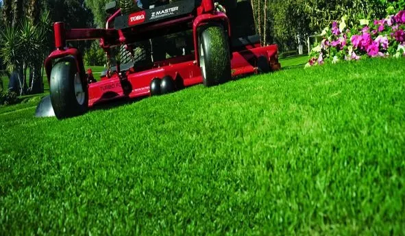 Local outdoor landscaping for year-round maintenance across Daphne, AL - Sexton Lawn & Landscape