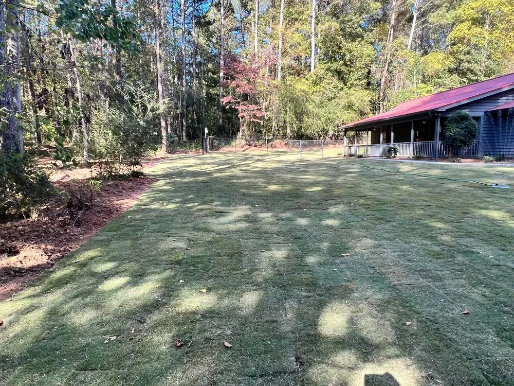 Local lawn care service in Jefferson, GA by Sexton lawn care