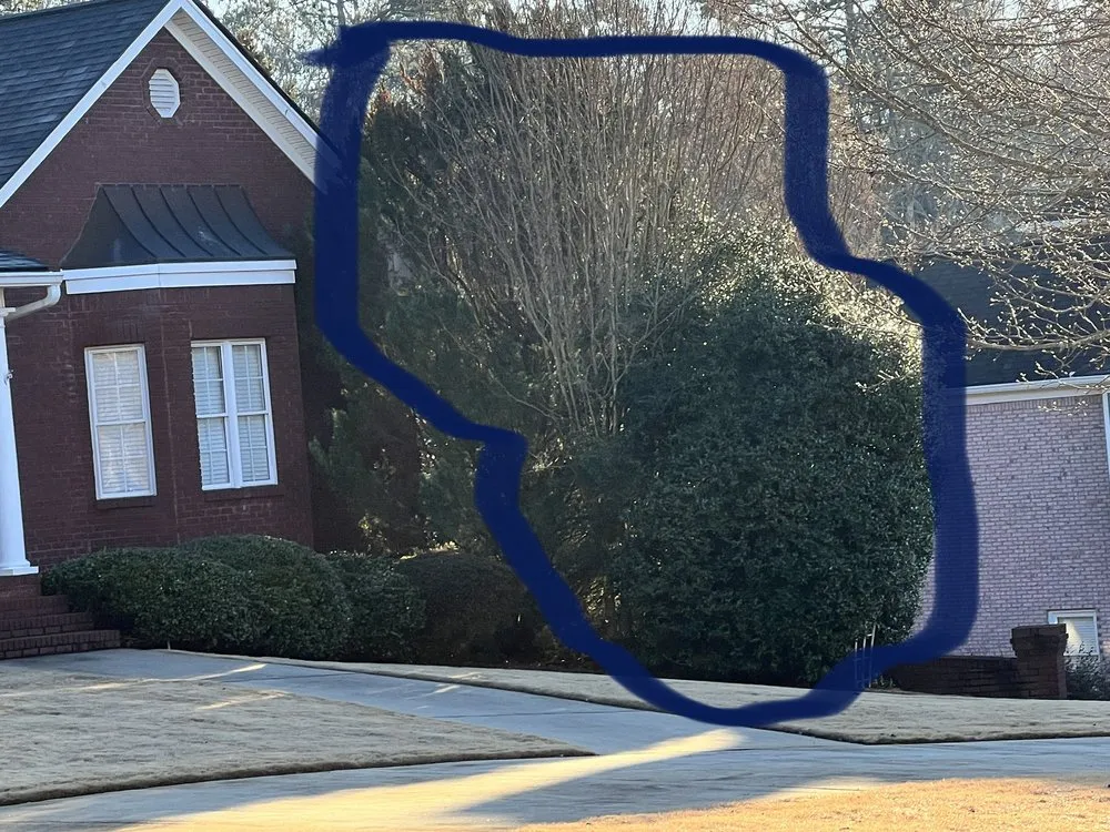 Affordable landscaping services in Jefferson, GA by Sexton lawn care