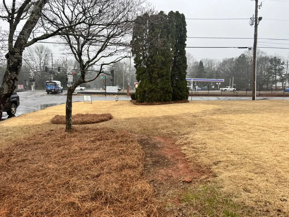 Top-rated landscape installation in Jefferson, GA - Sexton lawn care