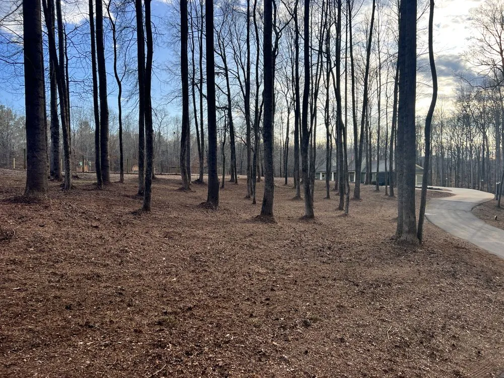 Reliable yard cleanup service for residential properties across Jefferson, GA - Sexton lawn care