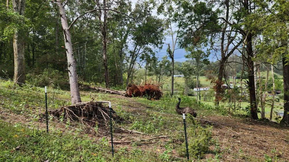 Expert landscape design for year-round maintenance in Church Hill, TN by Sexton Specialty Lawn Services