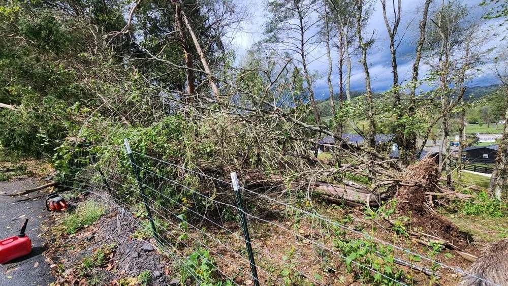 Expert landscape installation in Church Hill, TN by Sexton Specialty Lawn Services