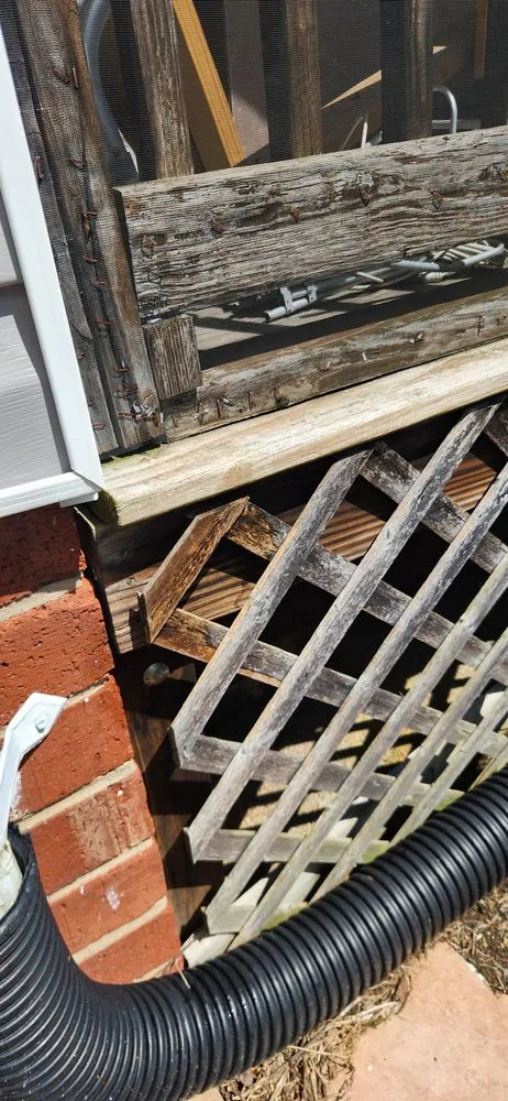 Professional yard cleanup service near you in Church Hill, TN by Sexton Specialty Lawn Services