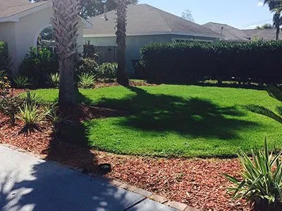 Trusted yard maintenance in Panama City, FL by Sexton's all purpose