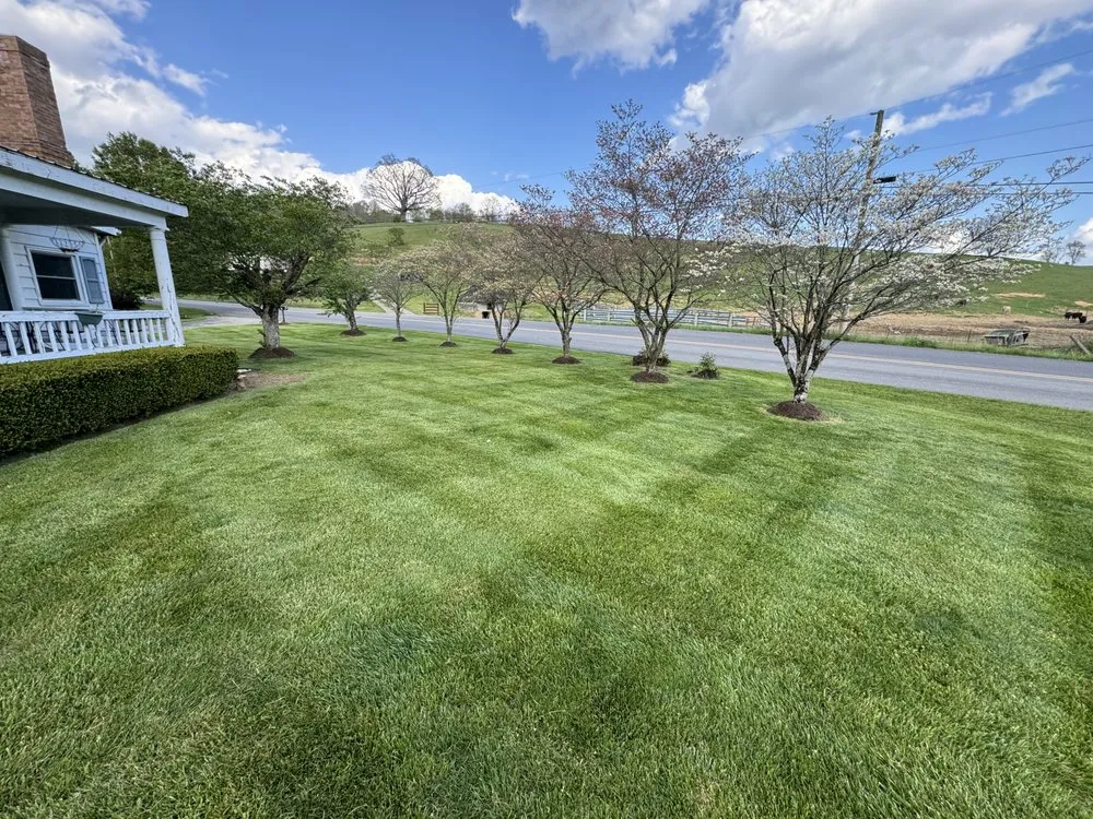 Trusted yard maintenance for beautiful yards across Chilhowie, VA - Sextons Lawncare