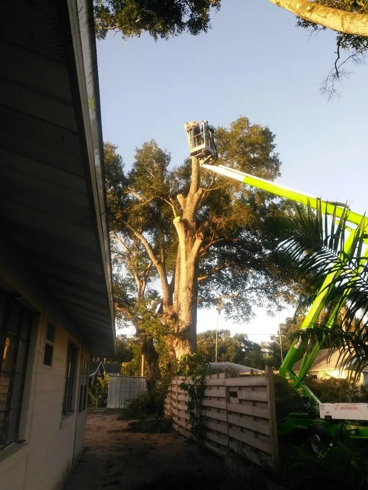 Affordable residential landscaping experts serving Sarasota, FL - Seybold Property Solutions
