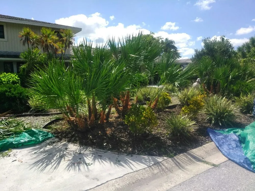 Trusted lawn care service for outdoor upgrades across Sarasota, FL - Seybold Property Solutions