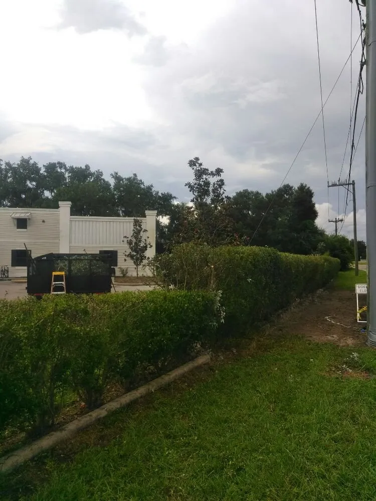 Expert outdoor landscaping experts serving Sarasota, FL - Seybold Property Solutions