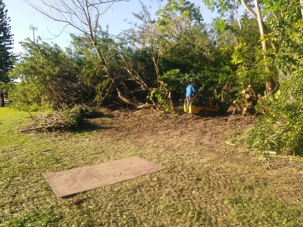 Top-rated yard cleanup service experts serving Sarasota, FL - Seybold Property Solutions