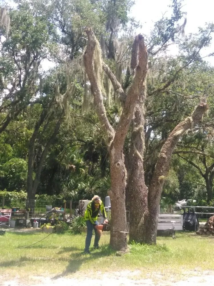 Reliable residential landscaping with custom design across Sarasota, FL - Seybold Property Solutions