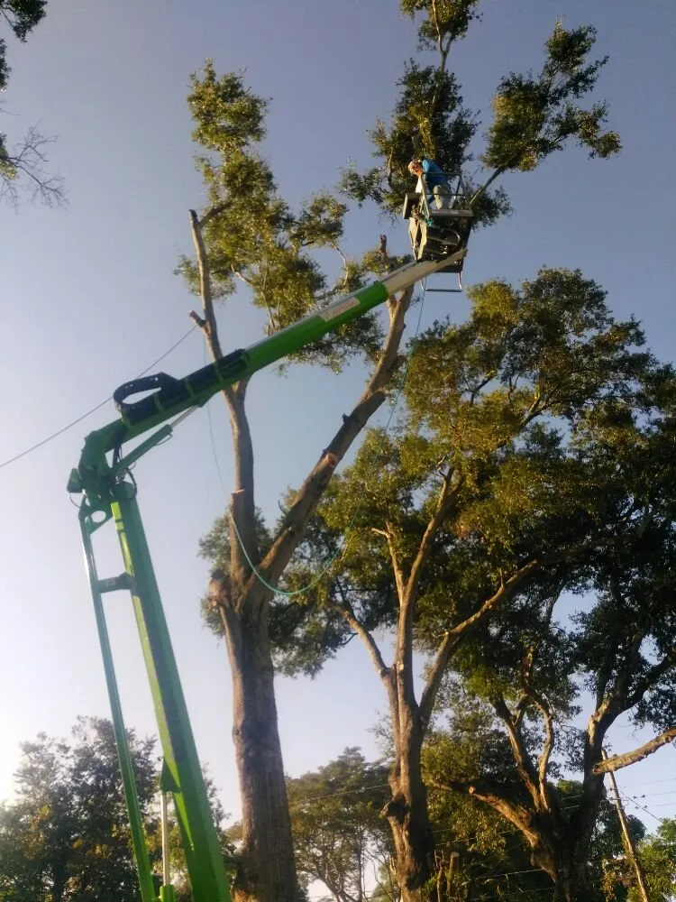 Custom yard cleanup service in Sarasota, FL - Seybold Property Solutions