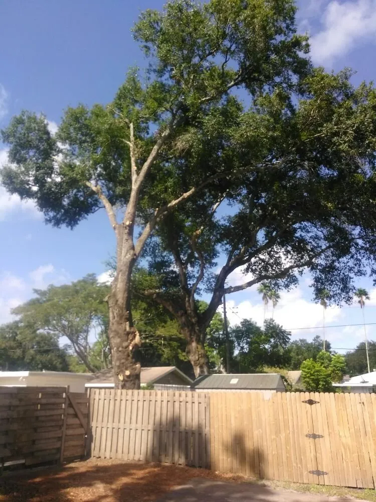 Custom yard cleanup service for homes in Sarasota, FL by Seybold Property Solutions