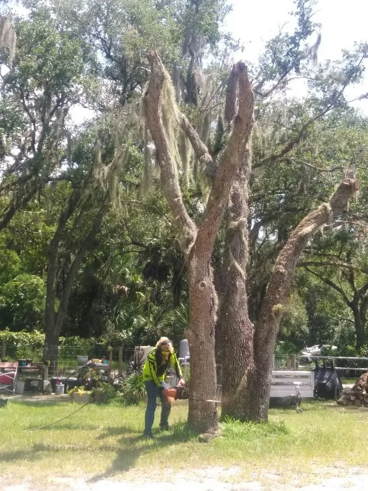 Top-rated landscape design near you across Sarasota, FL - Seybold Property Solutions