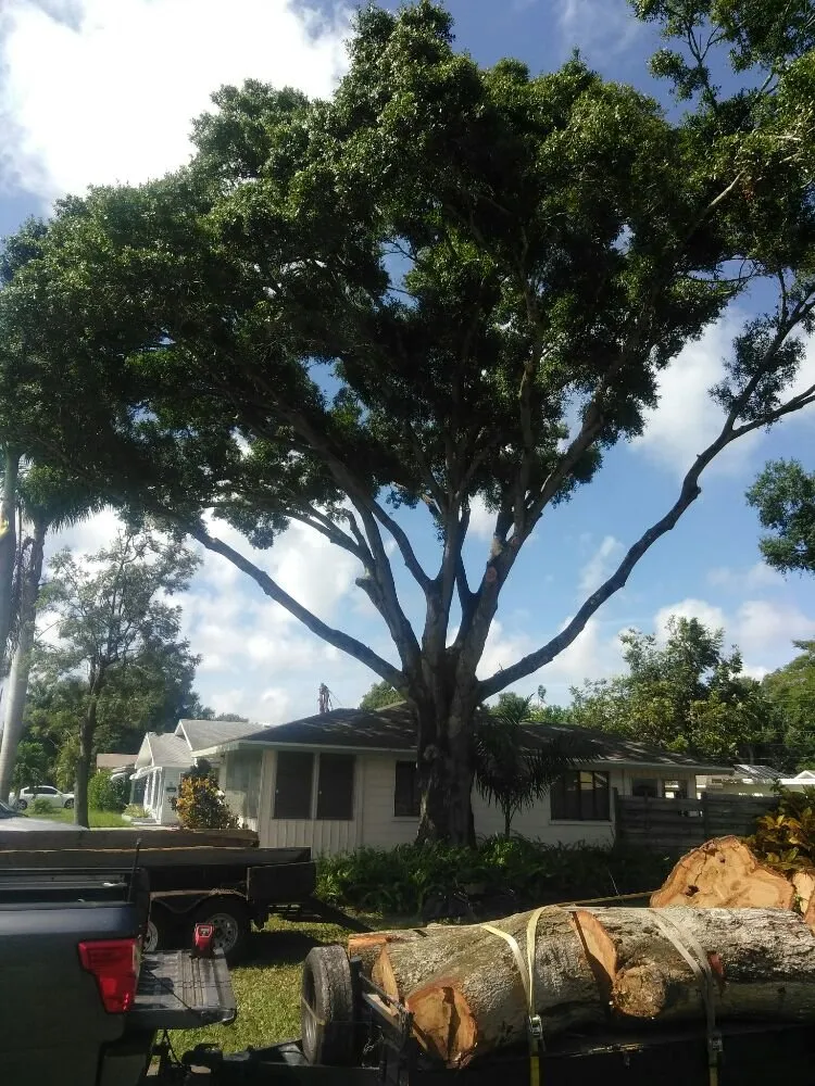 Professional outdoor landscaping in Sarasota, FL - Seybold Property Solutions