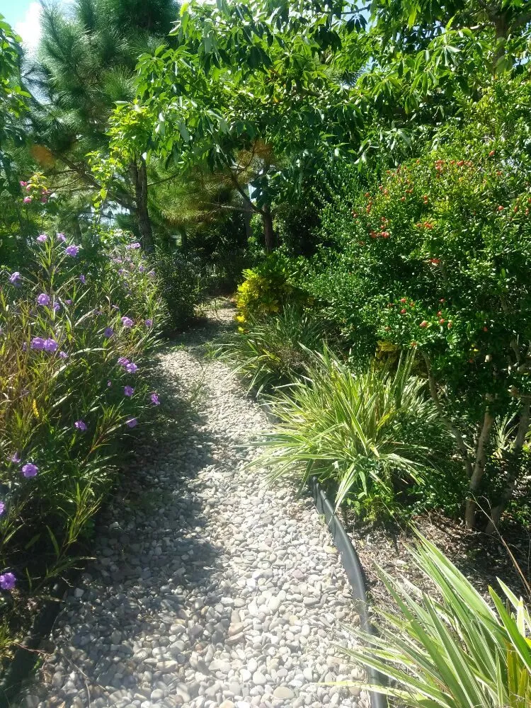 Reliable yard cleanup service near you in Sarasota, FL by Seybold Property Solutions