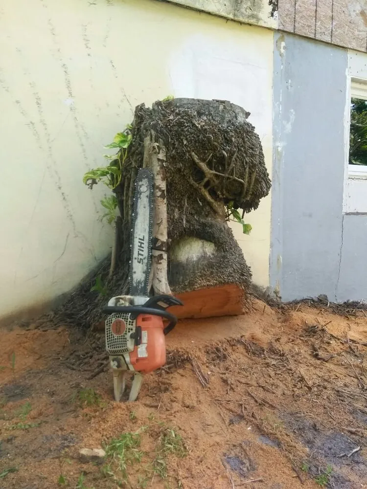 Trusted outdoor landscaping in Sarasota, FL by Seybold Property Solutions