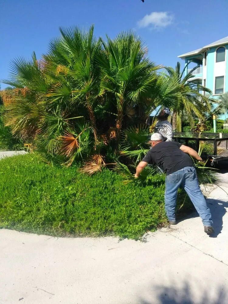 Custom yard cleanup service in Sarasota, FL - Seybold Property Solutions