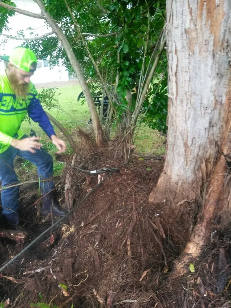 Top-rated yard cleanup service in Sarasota, FL by Seybold Property Solutions