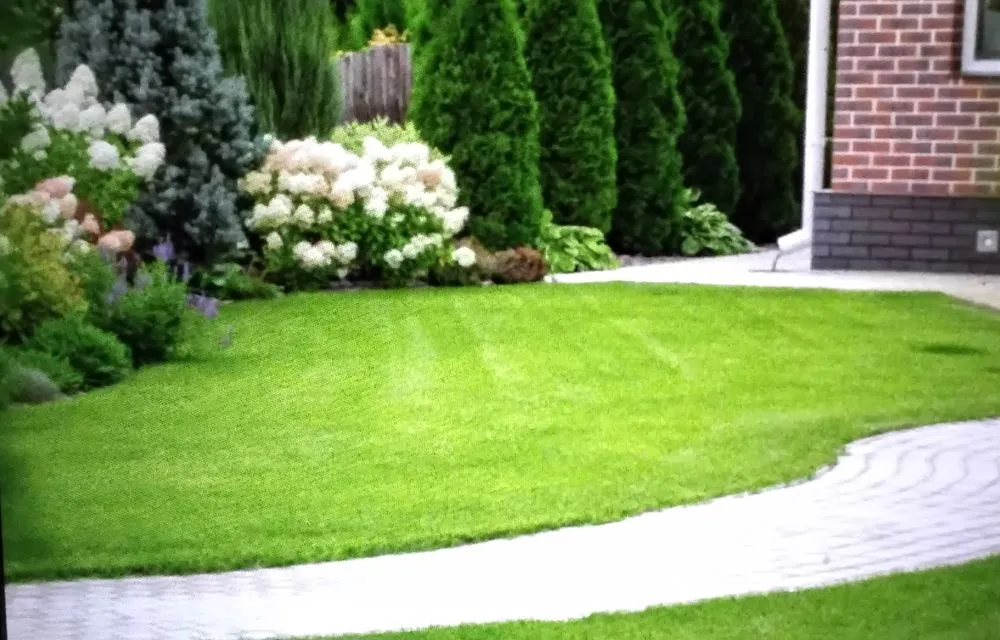 Local yard maintenance for residential properties in Richland, MS by Seymours Lawn Service