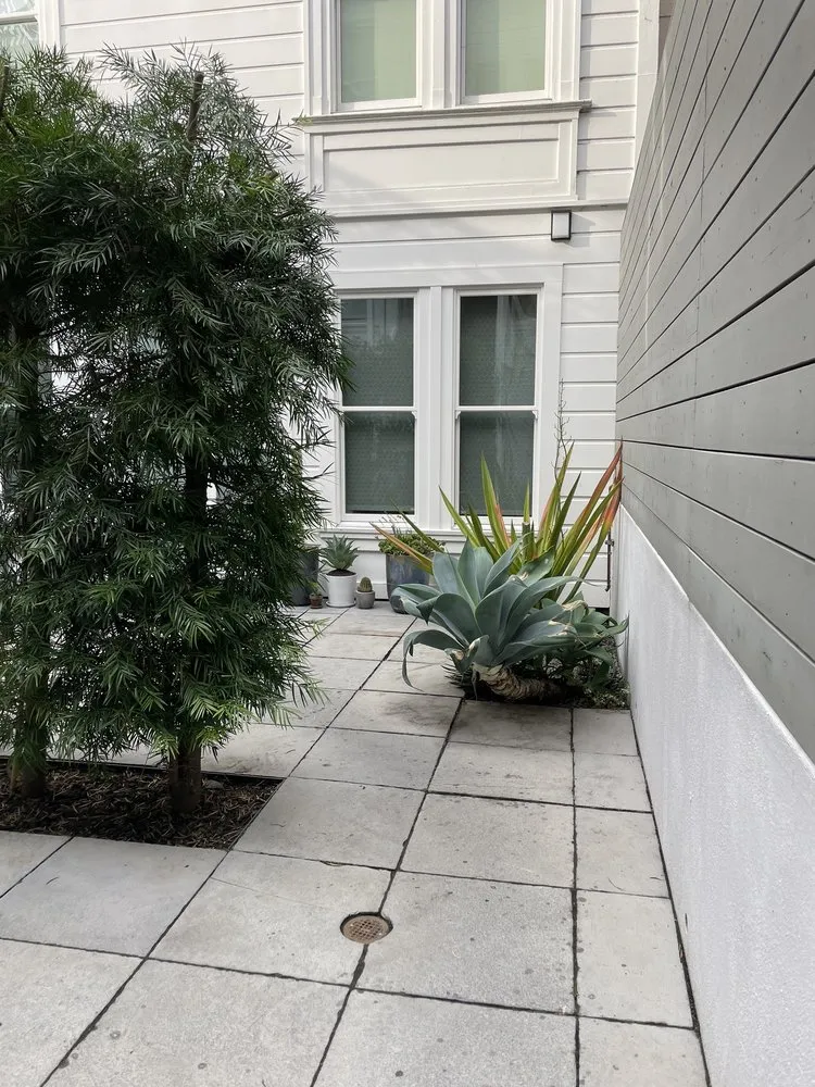 Affordable outdoor landscaping for homes across San Francisco, CA - SF Gardening Services