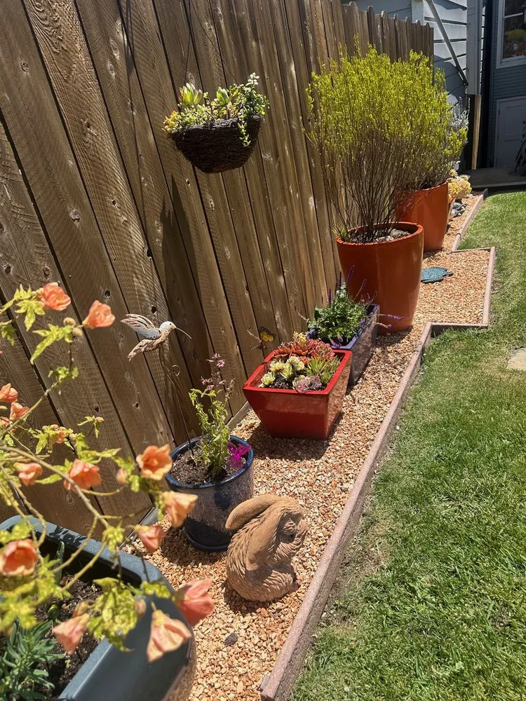 Reliable lawn mowing service in San Francisco, CA - SF Gardening Services