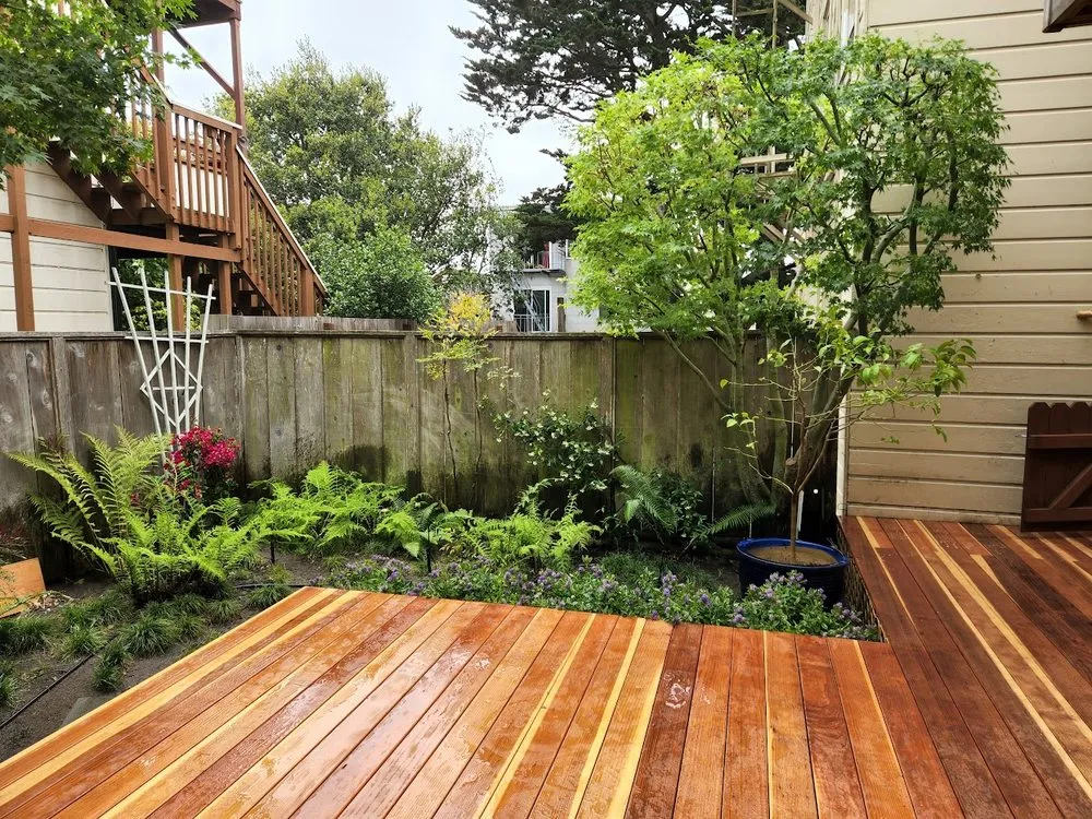 Trusted lawn care service in San Francisco, CA - SF Gardening Services
