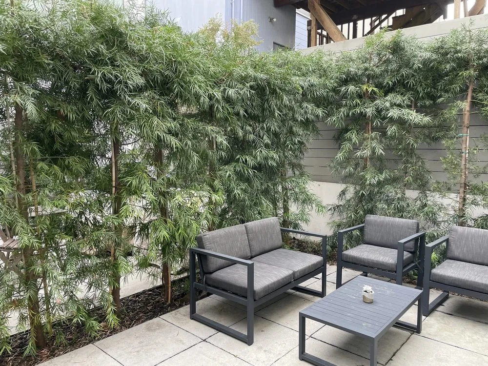 Expert lawn care service in San Francisco, CA by SF Gardening Services